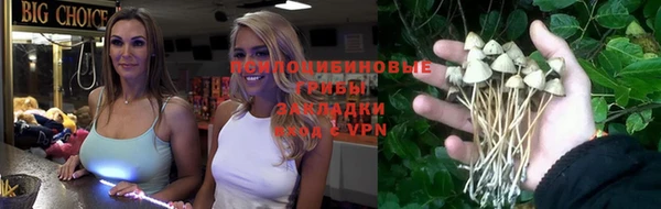 амф Алексин